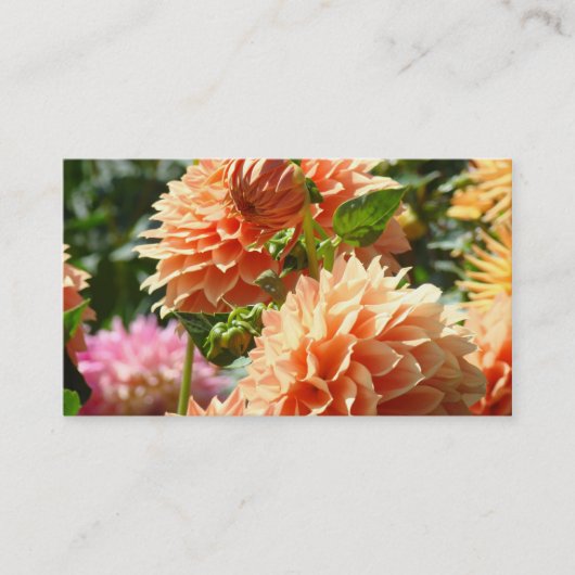 Visitekaartjes Floral Oranje Dahlia Flowers (Voorkant)
