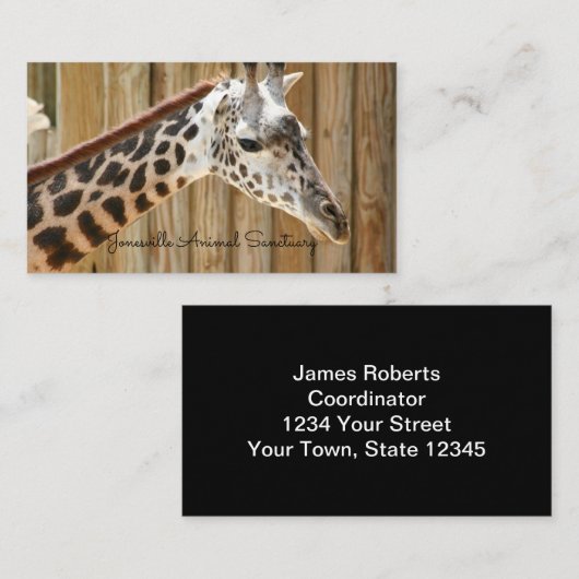 Visitekaartjes Giraffe (Voorkant / Achterkant)