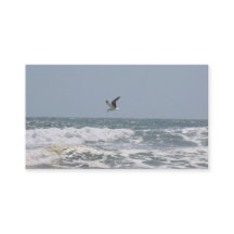 Visitekaartjes in de oceaan