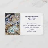 Visitekaartjes in ruste, niet bij de Kantoor stran (Achterkant)