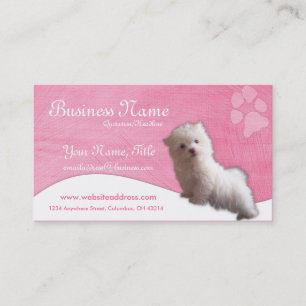 Visitekaartjes: Maltese puppy Visitekaartje