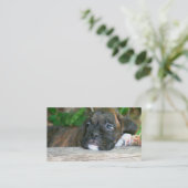 Visitekaartjes met een meerpuppy (Staand voorkant)