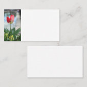 Visitekaartjes met rode tulp (Voorkant / Achterkant)