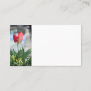 Visitekaartjes met rode tulp