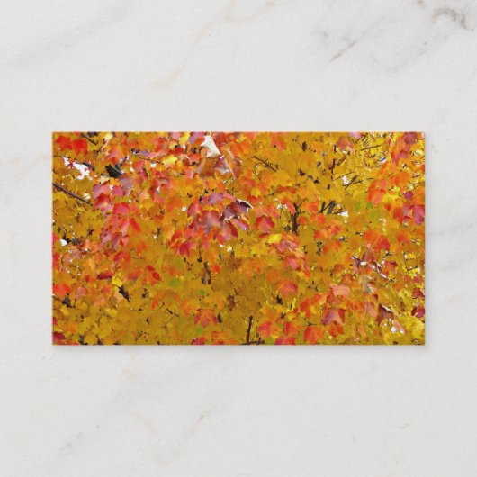 Visitekaartjes met valleien, herfst lekt, Natuur (Voorkant)