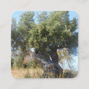 Visitekaartjes oude boomontwerpstijl