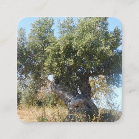 Visitekaartjes oude boomontwerpstijl (Voorkant)