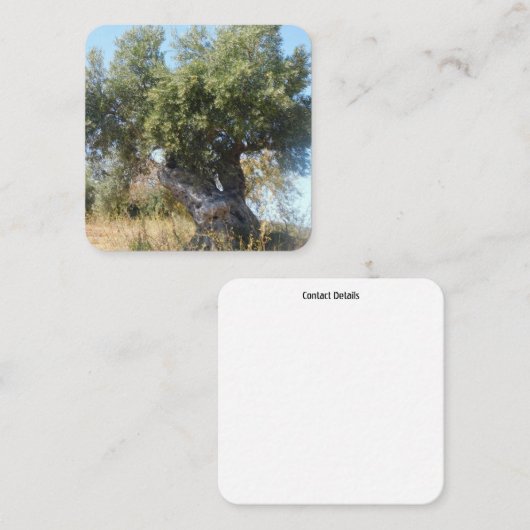 Visitekaartjes oude boomontwerpstijl (Voorkant / Achterkant)