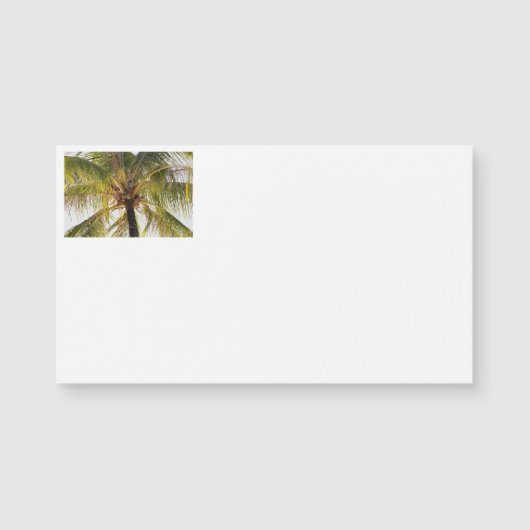 Visitekaartjes palmbomen (Voorkant)