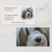 Visitekaartjes Tibetaanse Terrier (Voorkant / Achterkant)