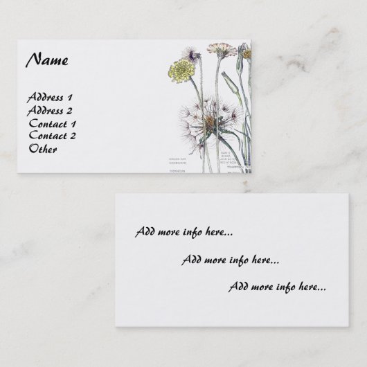  Visitekaartjes van botanische catsear (Voorkant / Achterkant)