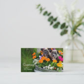 Visitekaartjes van Bulldog (Staand voorkant)