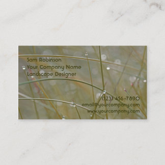 Visitekaartjes van de Dewy Grass Landscape of Gard