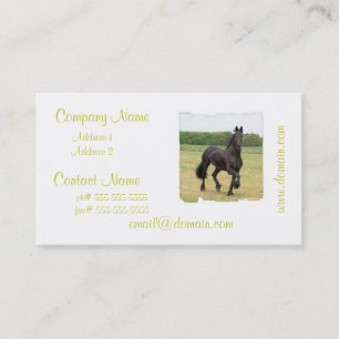 Visitekaartjes van Friesian Horse