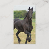 Visitekaartjes van Friesian Horse (Achterkant)