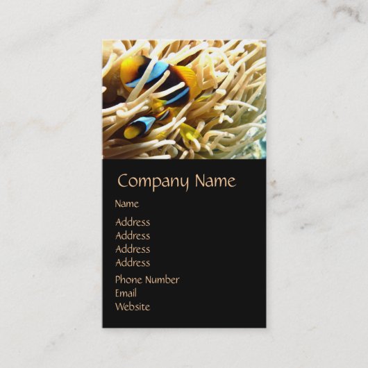 Visitekaartjes van gekookte vis (Voorkant)