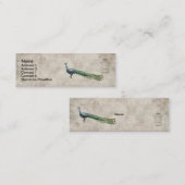Visitekaartjes van Glam Peacock (Voorkant / Achterkant)