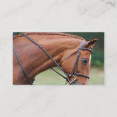 Visitekaartjes van kastanjepaarden Shows (Achterkant)