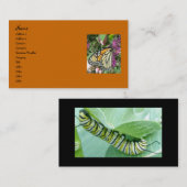 Visitekaartjes van Monarch Butterfly (Voorkant / Achterkant)