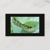 Visitekaartjes van Monarch Butterfly (Achterkant)