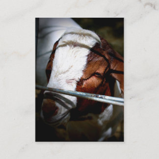 Visitekaartjes van Mountain Ranch