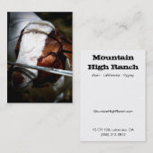 Visitekaartjes van Mountain Ranch (Voorkant / Achterkant)