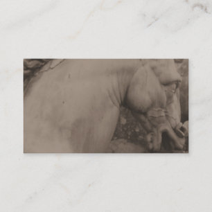 Visitekaartjes van renaissance Horse