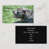 Visitekaartjes van rietsuiker Corso (Voorkant / Achterkant)