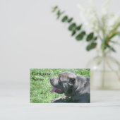 Visitekaartjes van rietsuiker Corso (Staand voorkant)