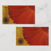 Visitekaartjes van schildpadden (Voorkant / Achterkant)