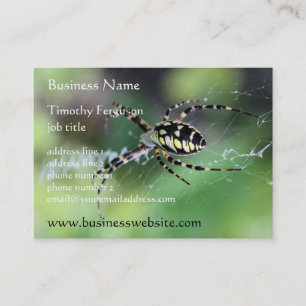 Visitekaartjes van Spider Chubby