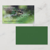 Visitekaartjes van spin (Voorkant / Achterkant)