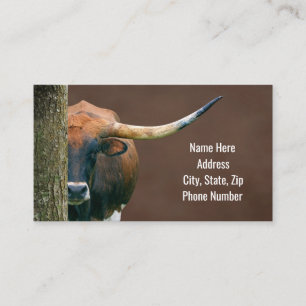 Visitekaartjes van Texas Longhorn Cow