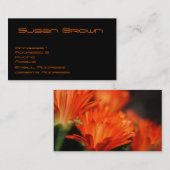 Visitekaartjes van varkensras (Voorkant / Achterkant)