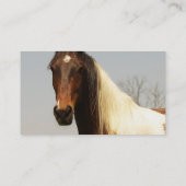 Visitekaartjes van verf (Achterkant)