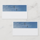 Visitekaartjes van vliegende zeegarens (Voorkant / Achterkant)