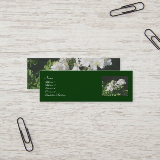 Visitekaartjes van wilde Rozen (Voorkant / Achterkant in situ)