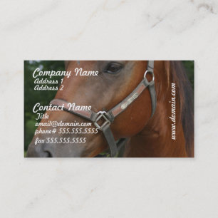 Visitekaartjes van zoete kastanjepaarden