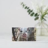 Visitekaartjes van zoete varkens (Staand voorkant)