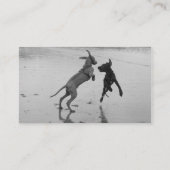 Visitekaartjes vet (Achterkant)