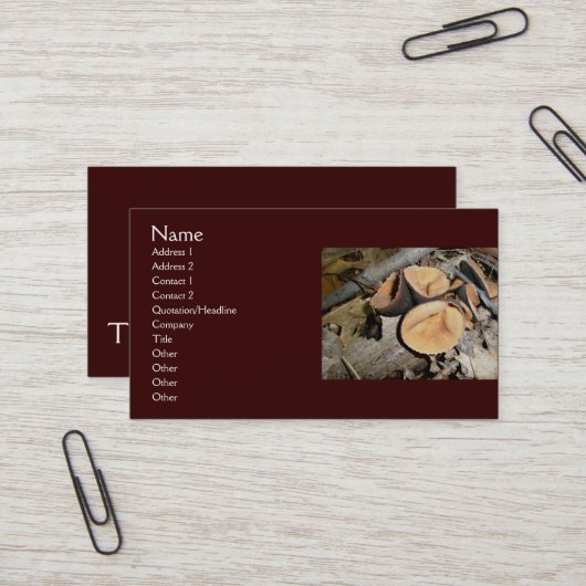 Visitekaartjes voor champignons (Voorkant / Achterkant in situ)