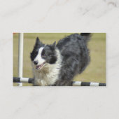 Visitekaartjes voor Collie Agility Border (Achterkant)