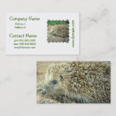 Visitekaartjes voor egel-verzorging (Voorkant / Achterkant)