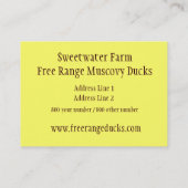 Visitekaartjes voor het inktvissen (Achterkant)