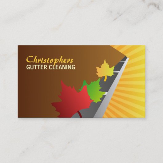 Visitekaartjes voor het reinigen van gipsplaten (Voorkant)