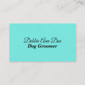 Visitekaartjes voor kleurrijke poetverlichting (Achterkant)