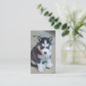Visitekaartjes voor siberiaanse haperende puppy Ar (Staand voorkant)