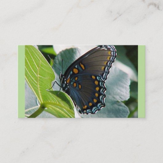 Visitekaartjes voor vlinders (Voorkant)