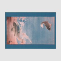 VISJUMPING IN WATERweefsel