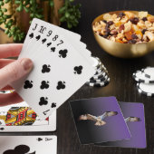 Viskaarten van de Visarend Pokerkaarten (Insitu)
